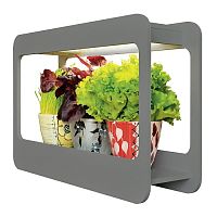 Светильник для растений «Минисад» Uniel ULT-P30-15W/SPFS IP40 GREY картинка 